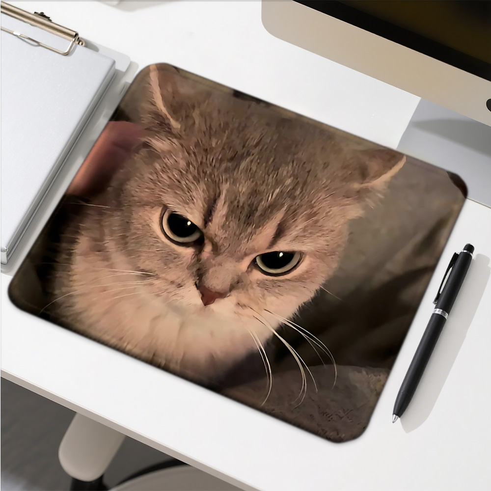 Gaming Accessories Companies - Funny Cat Expressions Computer Mat Desk